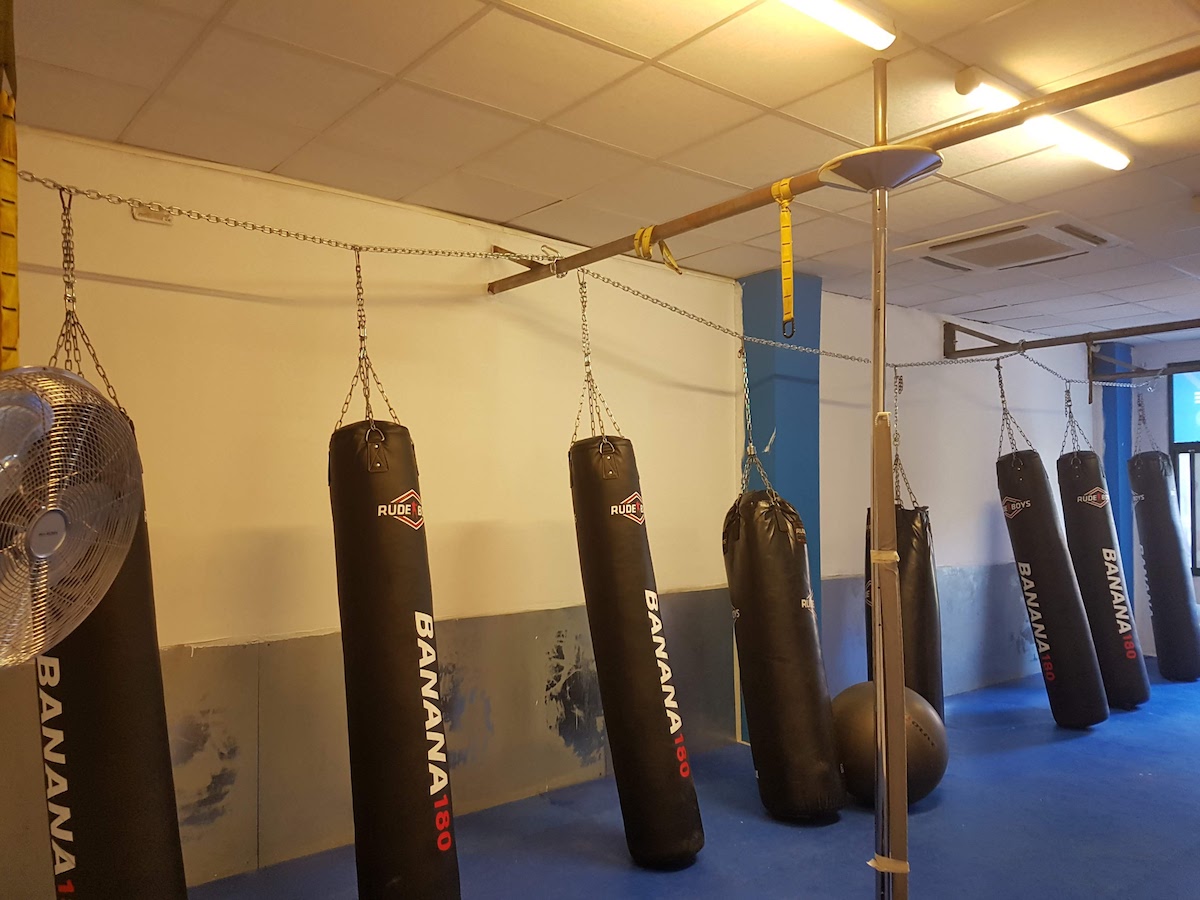 gym elipa-8