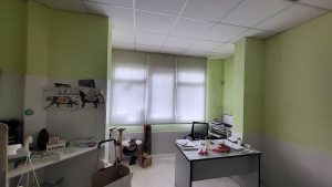 lavado de cara clinica veterinaria